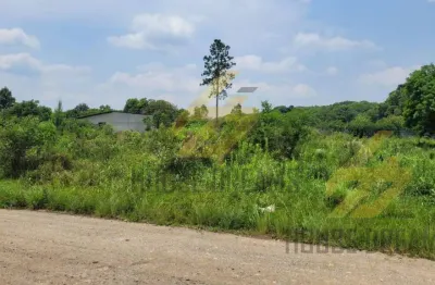 Terreno à venda na Rua Coronel Romão Rodrigues de Oliveira, 80, Vila Militar I, Piraquara