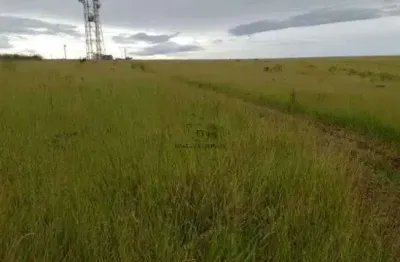 Chácara / sítio com 2 quartos à venda no Centro, Piedade 