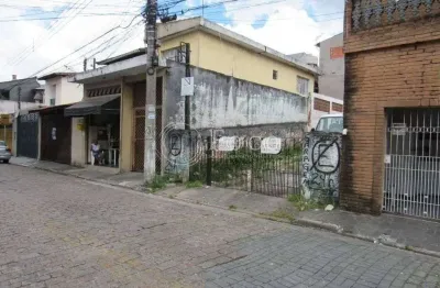 Terreno comercial para alugar no Jardim Moreira, Guarulhos 