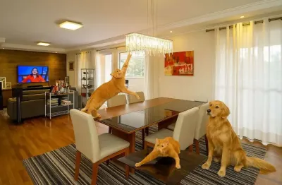 Apartamento para venda em morumbi de 172.00m² com 3 quartos, 3 suites e 3 garagens