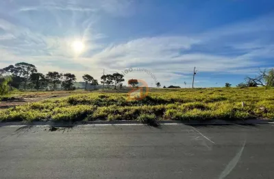 Terreno à venda na Rodovia Elzio Mariotoni, 190, Jardim Europa, Mogi Mirim