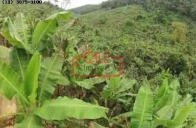 Fazenda / sítio para venda em cananéia de 465.00m² com 1 quarto, 1 suite e 1 garagem