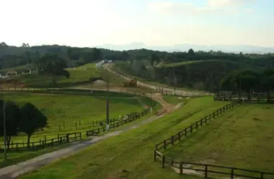 Fazenda / sítio para venda em tijucas do sul de 3000.00m² com 5 quartos e 5 suites