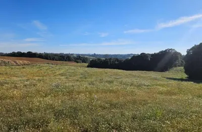 Chácara / sítio com 1 quarto à venda no Centro, Campo Magro 