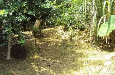 Terreno à venda na Rua Mungo Park, 222, Parque Boturussu, São Paulo
