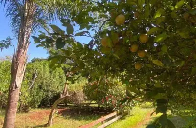 Chácara para venda em bonfim paulista de 5000.00m² com 5 quartos e 1 suite