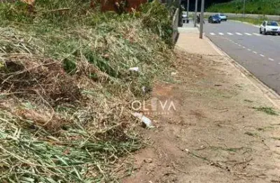 Terreno comercial para alugar no Jardim Maracanã, São José do Rio Preto 