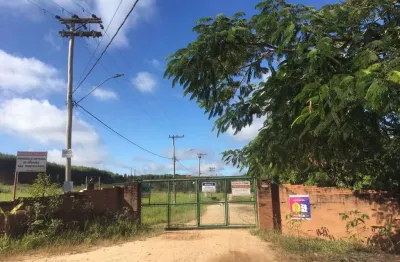 Terreno em condomínio fechado à venda no Centro, Conchas 