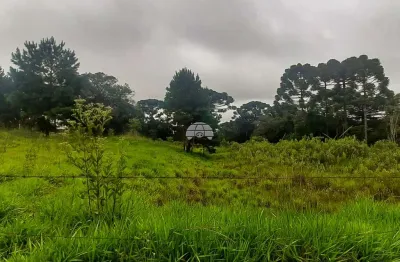 Terreno à venda na Rua Nossa Senhora de Fátima, 1255, Paloma, Colombo