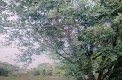 Lote / terreno para venda em são braz de 2486.00m² com 1 quarto