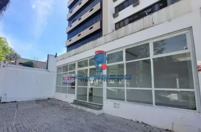 Loja para venda e aluguel em vila itapura de 300.00m² com 6 garagens