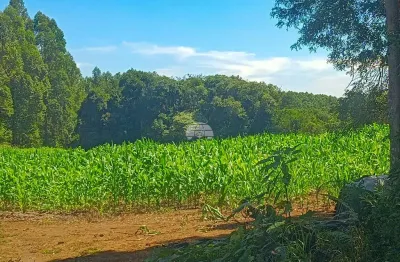 Terreno à venda no Centro, Reserva 