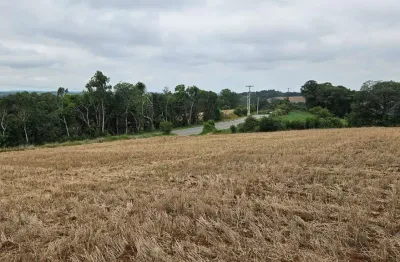 Terreno à venda no Guajuvira, Araucária 