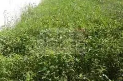 Terreno à venda na Avenida Professora Elba Maria Ramos Pereira, 100, Jardim Hipica Pinheiro, Taubaté