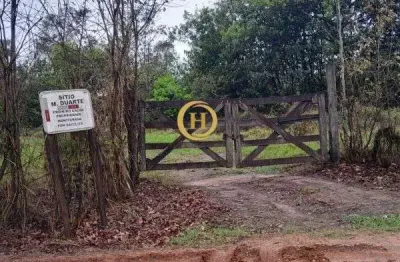 Fazenda / sítio para venda em centro (ajapi) de 9680.00m² com 2 quartos