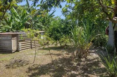 Chácara / sítio com 2 quartos à venda em Alexandra, Paranaguá 