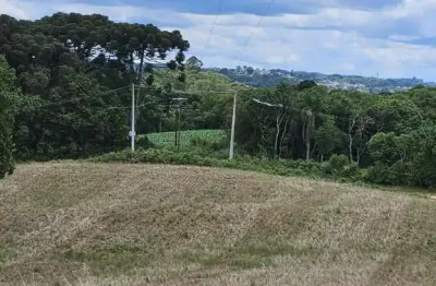 Fazenda / sítio para venda em vila david antônio de 20600.00m² com 1 quarto
