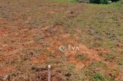 Terreno à venda na Vila Clementina, São José do Rio Preto 