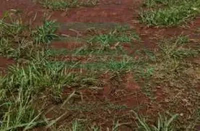 Terreno à venda na Via Anhangüera, 1388, Recreio Anhangüera, Ribeirão Preto