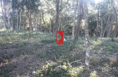 Terreno à venda no Centro, Piedade 