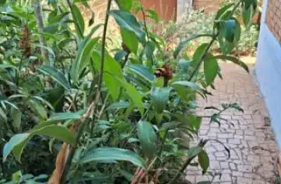 Casa para venda em jardim américa de 500.00m² com 4 quartos, 1 suite e 4 garagens