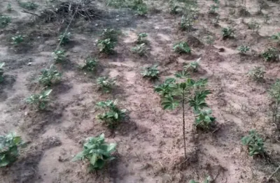 Terreno para venda em residencial parque da fazenda de 284.00m²