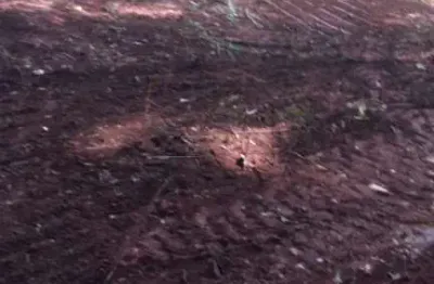 Terreno para venda em jardim brasil (vila xavier) de 1312.00m²