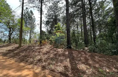 Terreno à venda no Centro, Pardinho 