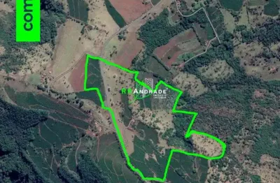 Fazenda / Sítio para venda em Pedregulho de 580800.00m² com 3 Quartos