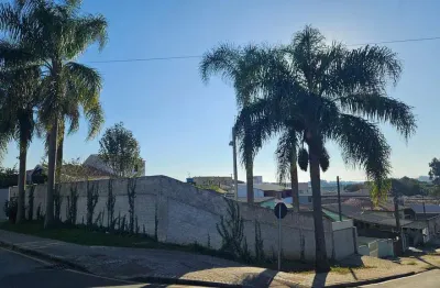 Terreno à venda no Fazenda Velha, Araucária 