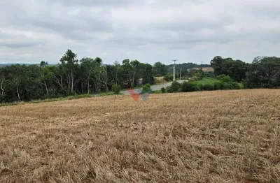 Terreno à venda no Guajuvira, Araucária 