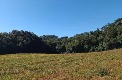 Chácara para venda em Área Rural De Araucária de 23482.00m² com 1 Quarto