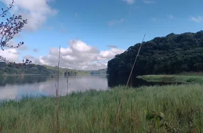 Chácara para venda em Área Rural De Araucária de 50.00m² com 2 Quartos e 6 Garagens