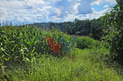 Chácara / sítio com 1 quarto à venda no Centro, Contenda 