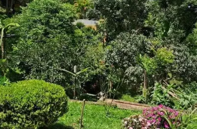 Fazenda / Sítio para venda em Vila Nova Bonsucesso de 6500.00m² com 4 Quartos e 1 Suite