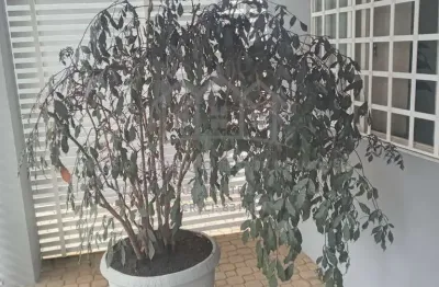 Imóvel Comercial para venda em Barão Geraldo de 180.00m² com 1 Quarto, 1 Suite e 4 Garagens