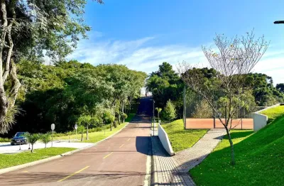 Terreno em condomínio fechado à venda na Rodovia BR-277 Curitiba-Ponta Grossa, 1655662, Mossunguê, Curitiba