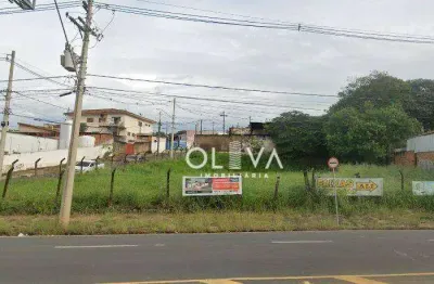 Terreno à venda na Vila São Jorge, São José do Rio Preto 