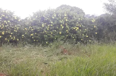 Terreno à venda na Rodovia Anhangüera, 1760212, Jardim García, Campinas