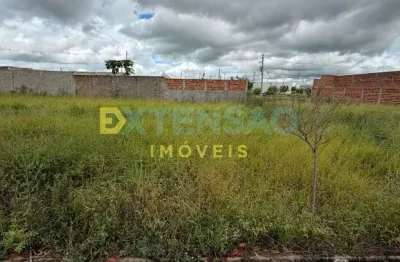 Terreno à venda na Avenida Josefina Zacaroni Costa, Sn, Petit-Trianon, Araçatuba