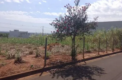 Terreno à venda na Rua Nestor Hecht, ***, Parque das Árvores II, Birigui