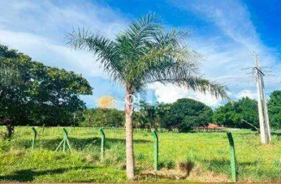 Terreno à venda no Centro, Cardoso 