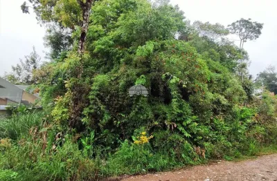 Terreno à venda na Rua da Canafístula, 01, Parque do Embu, Colombo