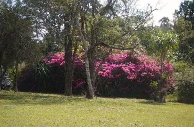 Fazenda / Sítio para venda em Volta Grande (são João Novo) de 300.00m² com 6 Quartos