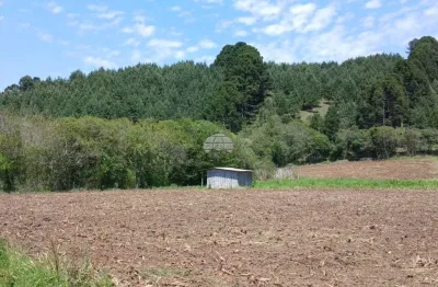 Chácara para venda em Bocaiúva Do Sul de 67161.00m² com 2 Quartos e 1 Garagem