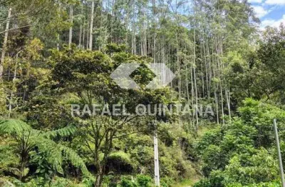 Terreno rural à venda, 4 hectares para sítio ou empreendimento turístico, aguas mornas - sc
