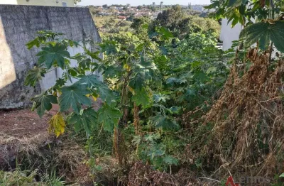 Terreno à venda, 565m² no cidade satélite - atibaia/sp - te2510