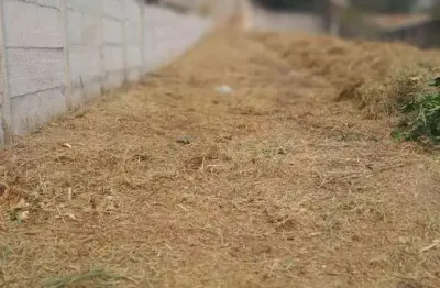 Terreno à venda na Estrada Rio Branco, 290, Chácaras Brasil, Atibaia