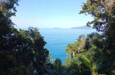 Terreno à venda em Ponta Grossa, Ubatuba 