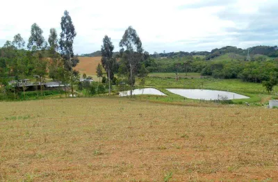 Chácara à venda ou locação, 120.000 m²  - areia branca dos assis - mandirituba/pr
